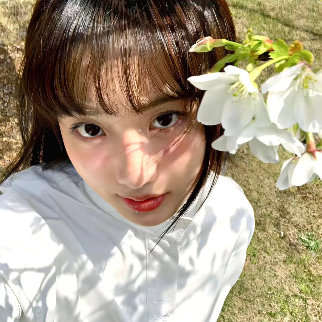 牛肉2